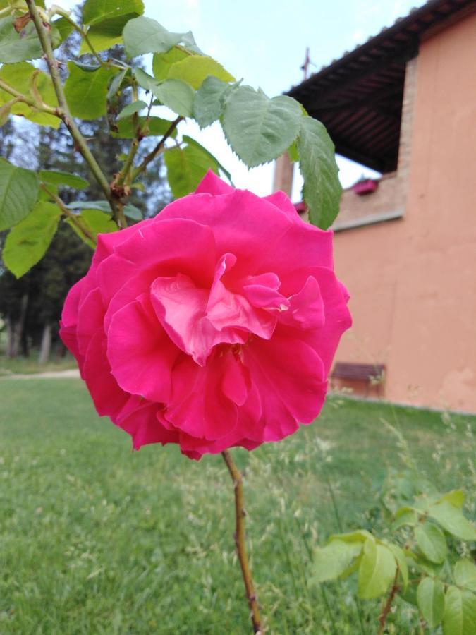 קסטלפיורנטינו Villa Niccoli מראה חיצוני תמונה